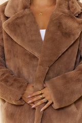 Plush Mode Faux Fur Coat Brown