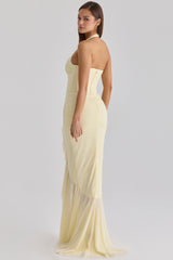 lemon mesh silhouette maxi dress