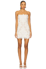 X Revolve Amanda Mini Dress