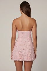 Embellished Bandeau A-line Mini Dress in Ballet Pink